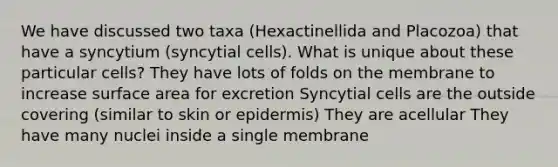 We have discussed two taxa (Hexactinellida and Placozoa) that have a syncytium (syncytial cells). What is unique about these particular cells? They have lots of folds on the membrane to increase <a href='https://www.questionai.com/knowledge/kEtsSAPENL-surface-area' class='anchor-knowledge'>surface area</a> for excretion Syncytial cells are the outside covering (similar to skin or epidermis) They are acellular They have many nuclei inside a single membrane