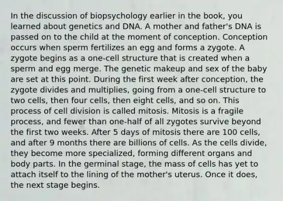 In the discussion of biopsychology earlier in the book, you learned about genetics and DNA. A mother and father's DNA is passed on to the child at the moment of conception. Conception occurs when sperm fertilizes an egg and forms a zygote. A zygote begins as a one-cell structure that is created when a sperm and egg merge. The genetic makeup and sex of the baby are set at this point. During the first week after conception, the zygote divides and multiplies, going from a one-cell structure to two cells, then four cells, then eight cells, and so on. This process of cell division is called mitosis. Mitosis is a fragile process, and fewer than one-half of all zygotes survive beyond the first two weeks. After 5 days of mitosis there are 100 cells, and after 9 months there are billions of cells. As the cells divide, they become more specialized, forming different organs and body parts. In the germinal stage, the mass of cells has yet to attach itself to the lining of the mother's uterus. Once it does, the next stage begins.