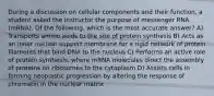 During a discussion on cellular components and their function, a student asked the instructor the purpose of messenger RNA (mRNA). Of the following, which is the most accurate answer? A) Transports amino acids to the site of protein synthesis B) Acts as an inner nuclear support membrane for a rigid network of protein filaments that bind DNA to the nucleus C) Performs an active role of protein synthesis, where mRNA molecules direct the assembly of proteins on ribosomes to the cytoplasm D) Assists cells in forming neoplastic progression by altering the response of chromatin in the nuclear matrix