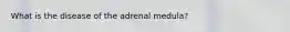 What is the disease of the adrenal medula?