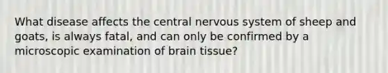 What disease affects the central nervous system of sheep and goats, is always fatal, and can only be confirmed by a microscopic examination of brain tissue?