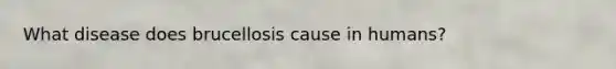 What disease does brucellosis cause in humans?