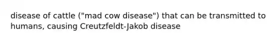 disease of cattle ("mad cow disease") that can be transmitted to humans, causing Creutzfeldt-Jakob disease