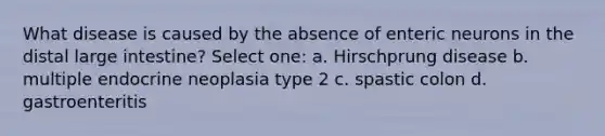 What disease is caused by the absence of enteric neurons in the distal large intestine? Select one: a. Hirschprung disease b. multiple endocrine neoplasia type 2 c. spastic colon d. gastroenteritis