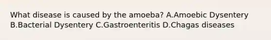 What disease is caused by the amoeba? A.Amoebic Dysentery B.Bacterial Dysentery C.Gastroenteritis D.Chagas diseases