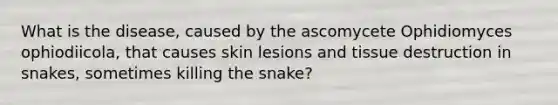 What is the disease, caused by the ascomycete Ophidiomyces ophiodiicola, that causes skin lesions and tissue destruction in snakes, sometimes killing the snake?