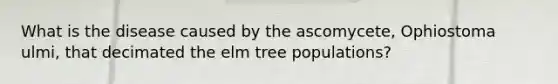 What is the disease caused by the ascomycete, Ophiostoma ulmi, that decimated the elm tree populations?