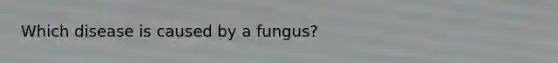 Which disease is caused by a fungus?