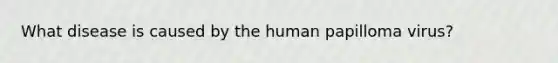 What disease is caused by the human papilloma virus?