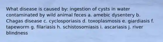 What disease is caused by: ingestion of cysts in water contaminated by wild animal feces a. amebic dysentery b. Chagas disease c. cyclosporiasis d. toxoplasmosis e. giardiasis f. tapeworm g. filariasis h. schistosomiasis i. ascariasis j. river blindness