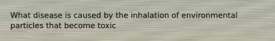 What disease is caused by the inhalation of environmental particles that become toxic