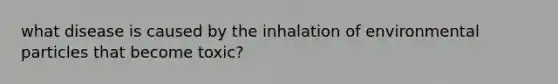 what disease is caused by the inhalation of environmental particles that become toxic?