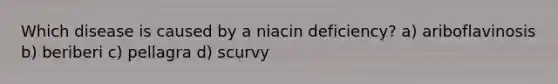 Which disease is caused by a niacin deficiency? a) ariboflavinosis b) beriberi c) pellagra d) scurvy