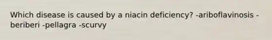 Which disease is caused by a niacin deficiency? -ariboflavinosis -beriberi -pellagra -scurvy