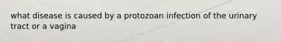 what disease is caused by a protozoan infection of the urinary tract or a vagina