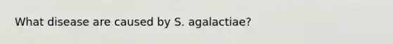 What disease are caused by S. agalactiae?