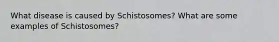 What disease is caused by Schistosomes? What are some examples of Schistosomes?