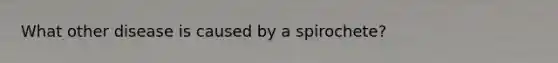 What other disease is caused by a spirochete?