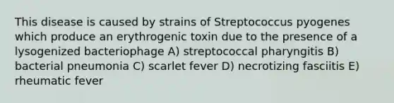 This disease is caused by strains of Streptococcus pyogenes which produce an erythrogenic toxin due to the presence of a lysogenized bacteriophage A) streptococcal pharyngitis B) bacterial pneumonia C) scarlet fever D) necrotizing fasciitis E) rheumatic fever