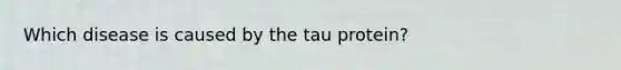 Which disease is caused by the tau protein?