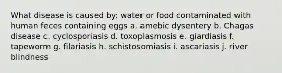 What disease is caused by: water or food contaminated with human feces containing eggs a. amebic dysentery b. Chagas disease c. cyclosporiasis d. toxoplasmosis e. giardiasis f. tapeworm g. filariasis h. schistosomiasis i. ascariasis j. river blindness