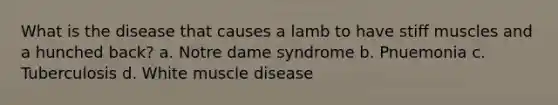 What is the disease that causes a lamb to have stiff muscles and a hunched back? a. Notre dame syndrome b. Pnuemonia c. Tuberculosis d. White muscle disease