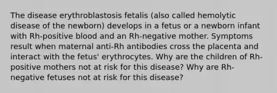 The disease erythroblastosis fetalis (also called hemolytic disease of the newborn) develops in a fetus or a newborn infant with Rh-positive blood and an Rh-negative mother. Symptoms result when maternal anti-Rh antibodies cross the placenta and interact with the fetus' erythrocytes. Why are the children of Rh-positive mothers not at risk for this disease? Why are Rh-negative fetuses not at risk for this disease?