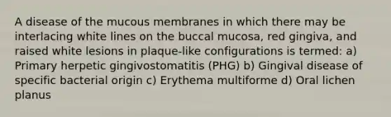 A disease of the mucous membranes in which there may be interlacing white lines on the buccal mucosa, red gingiva, and raised white lesions in plaque-like configurations is termed: a) Primary herpetic gingivostomatitis (PHG) b) Gingival disease of specific bacterial origin c) Erythema multiforme d) Oral lichen planus