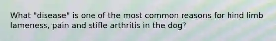 What "disease" is one of the most common reasons for hind limb lameness, pain and stifle arthritis in the dog?