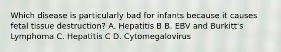 Which disease is particularly bad for infants because it causes fetal tissue destruction? A. Hepatitis B B. EBV and Burkitt's Lymphoma C. Hepatitis C D. Cytomegalovirus