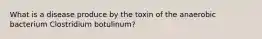 What is a disease produce by the toxin of the anaerobic bacterium Clostridium botulinum?