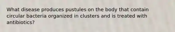 What disease produces pustules on the body that contain circular bacteria organized in clusters and is treated with antibiotics?