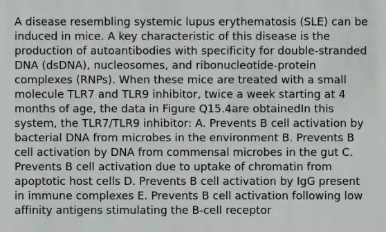 A disease resembling systemic lupus erythematosis (SLE) can be induced in mice. A key characteristic of this disease is the production of autoantibodies with specificity for double-stranded DNA (dsDNA), nucleosomes, and ribonucleotide-protein complexes (RNPs). When these mice are treated with a small molecule TLR7 and TLR9 inhibitor, twice a week starting at 4 months of age, the data in Figure Q15.4are obtainedIn this system, the TLR7/TLR9 inhibitor: A. Prevents B cell activation by bacterial DNA from microbes in the environment B. Prevents B cell activation by DNA from commensal microbes in the gut C. Prevents B cell activation due to uptake of chromatin from apoptotic host cells D. Prevents B cell activation by IgG present in immune complexes E. Prevents B cell activation following low affinity antigens stimulating the B-cell receptor