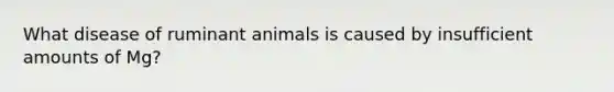 What disease of ruminant animals is caused by insufficient amounts of Mg?