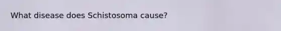 What disease does Schistosoma cause?