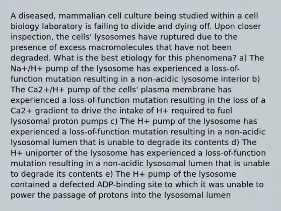 A diseased, mammalian cell culture being studied within a cell biology laboratory is failing to divide and dying off. Upon closer inspection, the cells' lysosomes have ruptured due to the presence of excess macromolecules that have not been degraded. What is the best etiology for this phenomena? a) The Na+/H+ pump of the lysosome has experienced a loss-of-function mutation resulting in a non-acidic lysosome interior b) The Ca2+/H+ pump of the cells' plasma membrane has experienced a loss-of-function mutation resulting in the loss of a Ca2+ gradient to drive the intake of H+ required to fuel lysosomal proton pumps c) The H+ pump of the lysosome has experienced a loss-of-function mutation resulting in a non-acidic lysosomal lumen that is unable to degrade its contents d) The H+ uniporter of the lysosome has experienced a loss-of-function mutation resulting in a non-acidic lysosomal lumen that is unable to degrade its contents e) The H+ pump of the lysosome contained a defected ADP-binding site to which it was unable to power the passage of protons into the lysosomal lumen