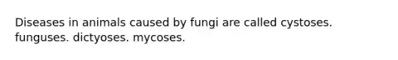 Diseases in animals caused by fungi are called cystoses. funguses. dictyoses. mycoses.