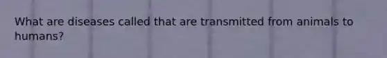 What are diseases called that are transmitted from animals to humans?
