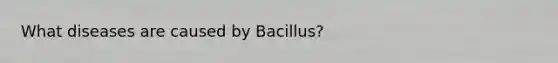 What diseases are caused by Bacillus?