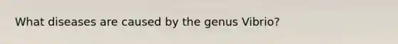 What diseases are caused by the genus Vibrio?