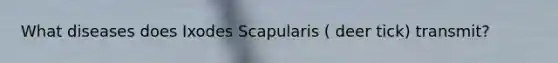What diseases does Ixodes Scapularis ( deer tick) transmit?