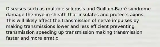 Diseases such as multiple sclerosis and Guillain-Barré syndrome damage the myelin sheath that insulates and protects axons. This will likely affect the transmission of nerve impulses by making transmissions lower and less efficient preventing transmission speeding up transmission making transmission faster and more erratic