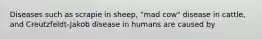 Diseases such as scrapie in sheep, "mad cow" disease in cattle, and Creutzfeldt-Jakob disease in humans are caused by