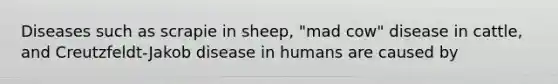 Diseases such as scrapie in sheep, "mad cow" disease in cattle, and Creutzfeldt-Jakob disease in humans are caused by