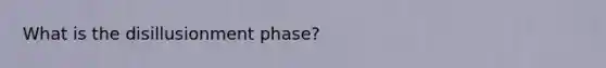 What is the disillusionment phase?