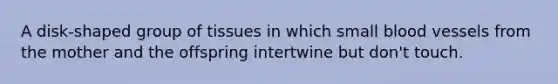 A disk-shaped group of tissues in which small blood vessels from the mother and the offspring intertwine but don't touch.