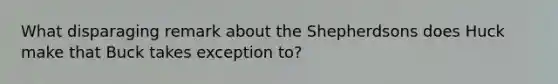 What disparaging remark about the Shepherdsons does Huck make that Buck takes exception to?