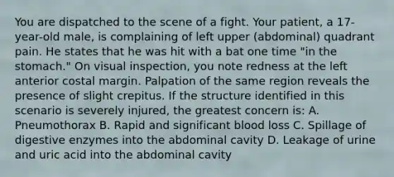 You are dispatched to the scene of a fight. Your patient, a 17-year-old male, is complaining of left upper (abdominal) quadrant pain. He states that he was hit with a bat one time "in the stomach." On visual inspection, you note redness at the left anterior costal margin. Palpation of the same region reveals the presence of slight crepitus. If the structure identified in this scenario is severely injured, the greatest concern is: A. Pneumothorax B. Rapid and significant blood loss C. Spillage of digestive enzymes into the abdominal cavity D. Leakage of urine and uric acid into the abdominal cavity