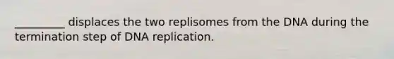 _________ displaces the two replisomes from the DNA during the termination step of DNA replication.