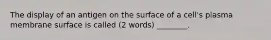 The display of an antigen on the surface of a cell's plasma membrane surface is called (2 words) ________.